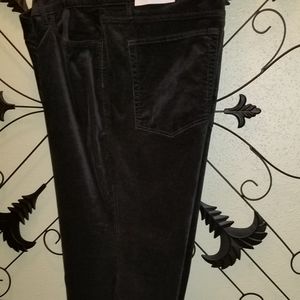 3 for $35 Plus Size Plush Velvet Stretch Jeans